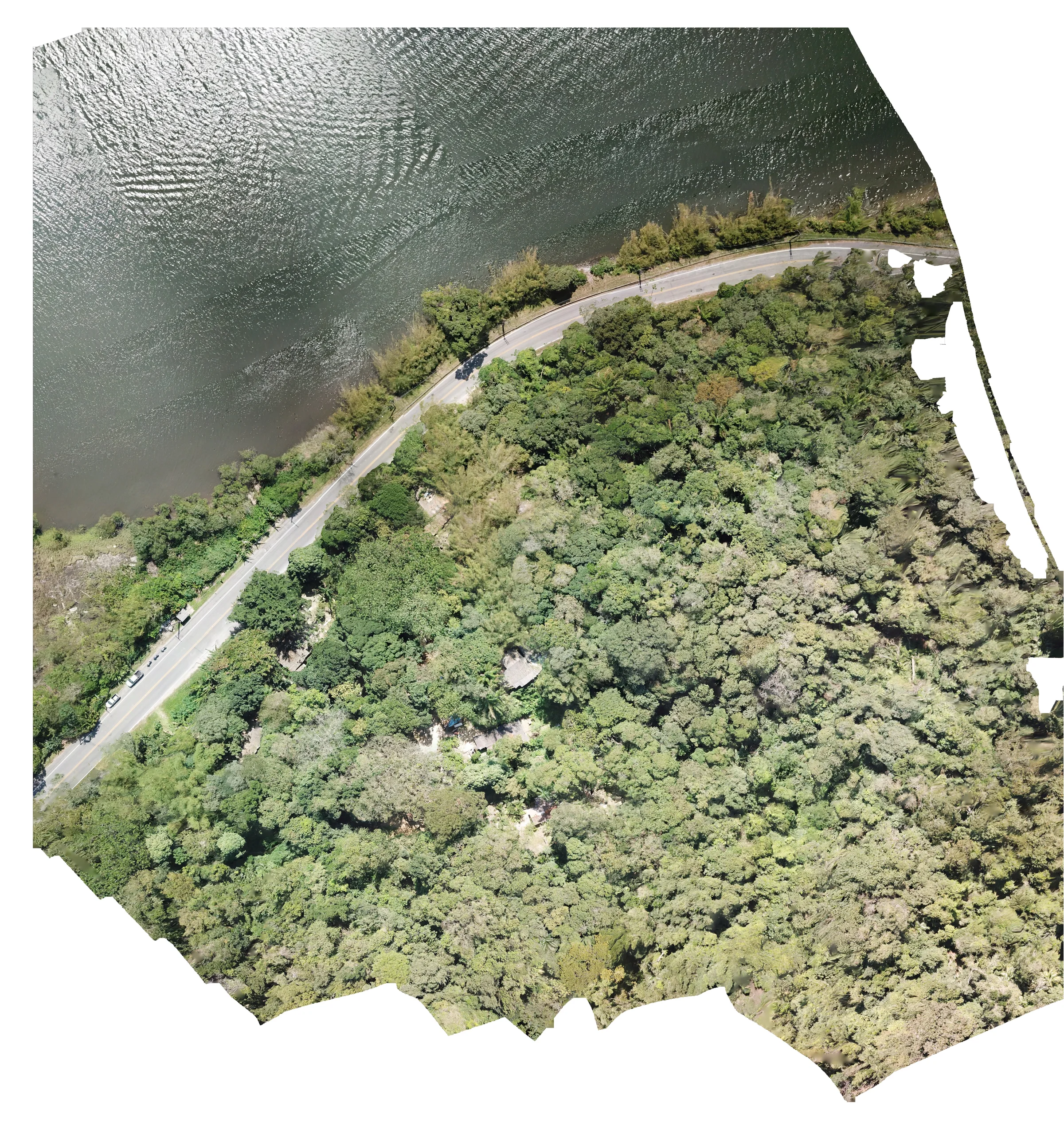 Imagem aérea por drone de área exterior com vegetação